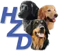 HZD Logo